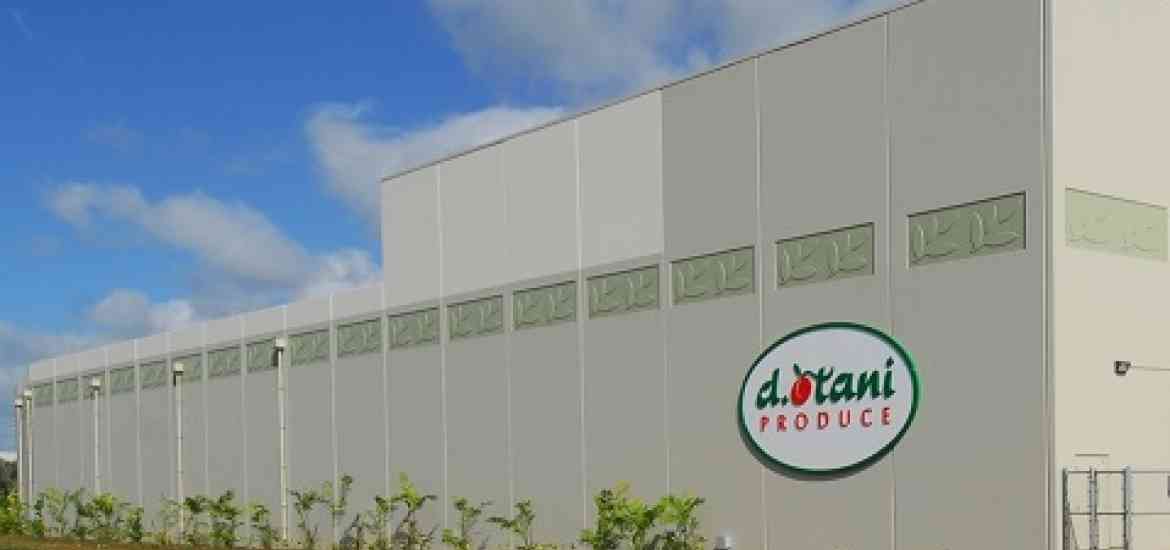 D. Otani Produce